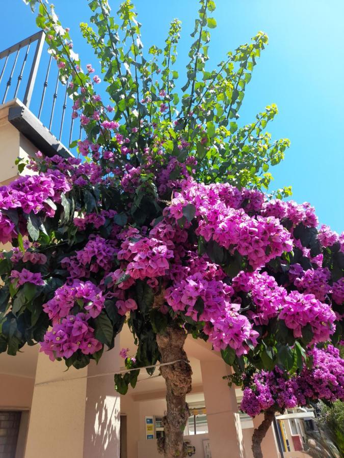 Bouganville Casa Vacanza Ambiente Climatizzato Con Wi Fi Пинето Экстерьер фото