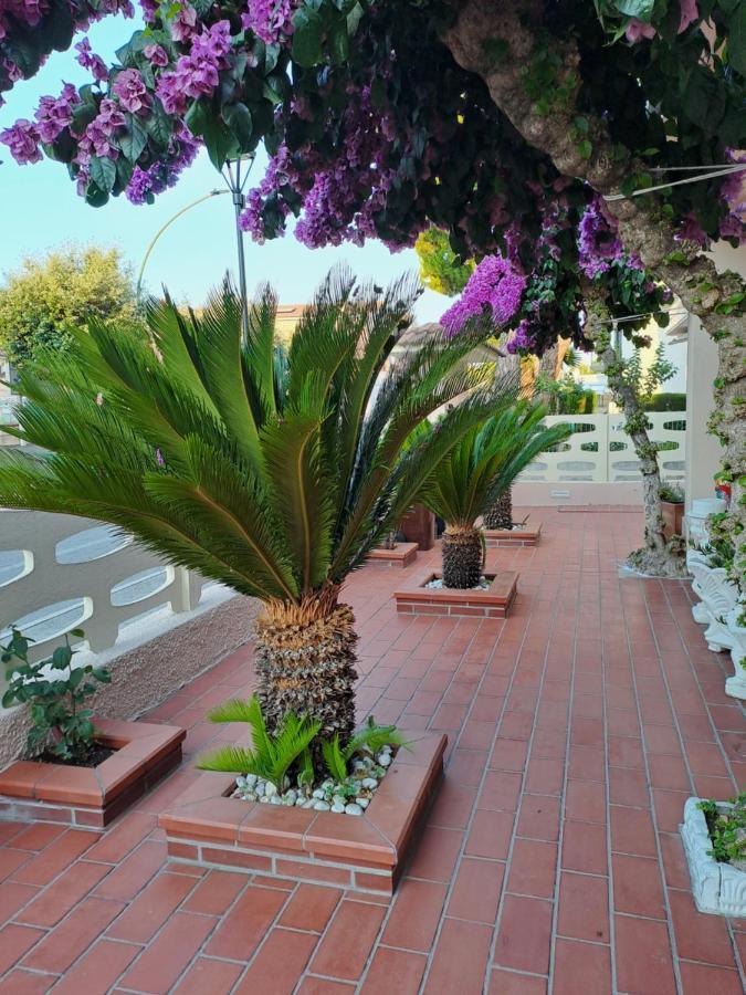 Bouganville Casa Vacanza Ambiente Climatizzato Con Wi Fi Пинето Экстерьер фото